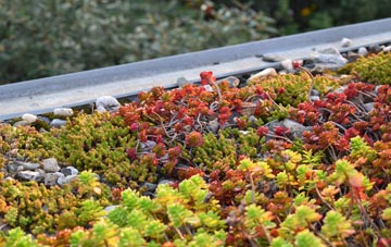 the cost of Eaglesfield green roof installation