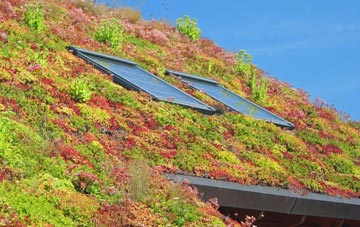 Eaglesfield living roof systems